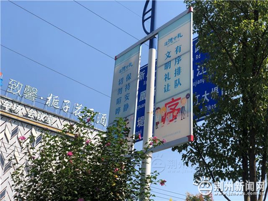 1634604245511300.jpg 44.jpg