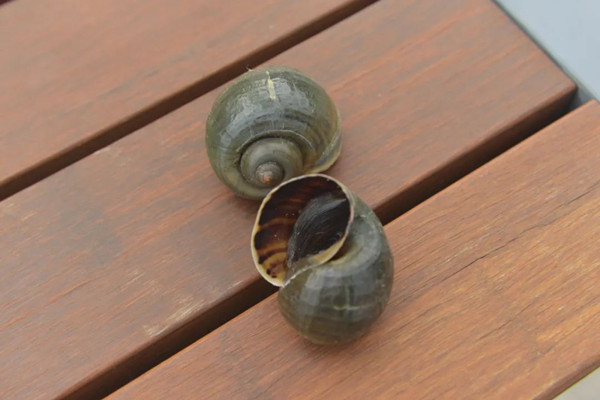 1639641801313288.jpg e274562bb49ddf316e2f8a7d2f7a9666.jpg